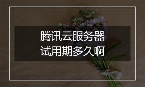 腾讯云服务器试用期多久啊
