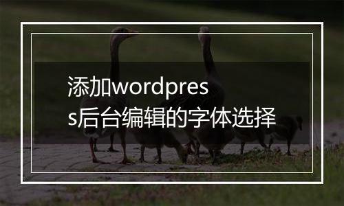 添加wordpress后台编辑的字体选择