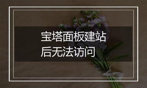 宝塔面板建站后无法访问