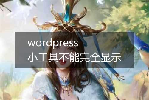 wordpress小工具不能完全显示