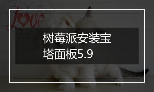 树莓派安装宝塔面板5.9