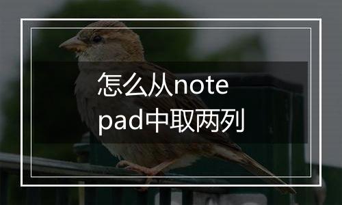 怎么从notepad中取两列