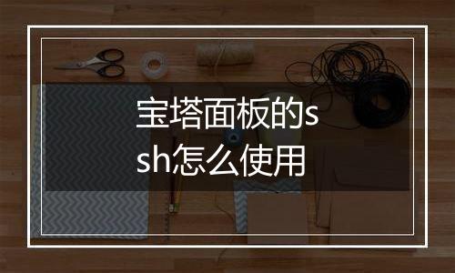 宝塔面板的ssh怎么使用
