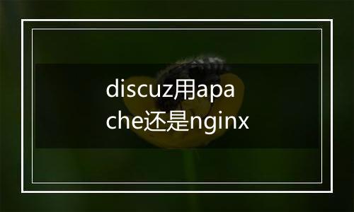 discuz用apache还是nginx