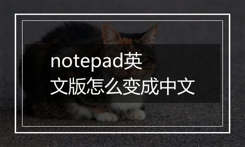 notepad英文版怎么变成中文