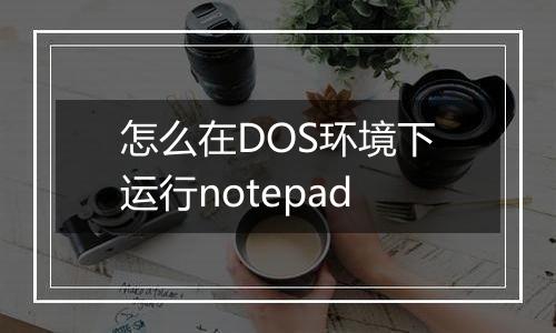 怎么在DOS环境下运行notepad