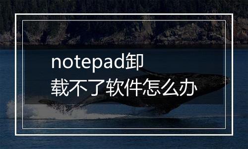 notepad卸载不了软件怎么办