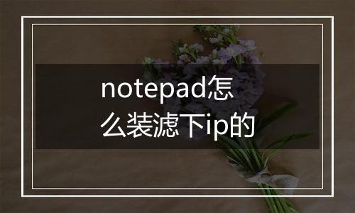 notepad怎么装滤下ip的