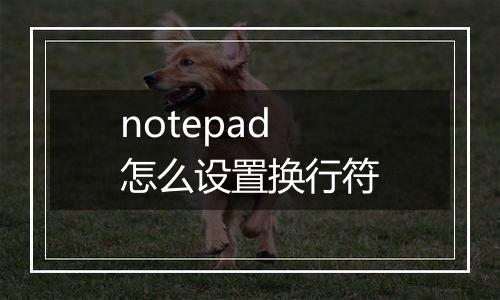 notepad怎么设置换行符