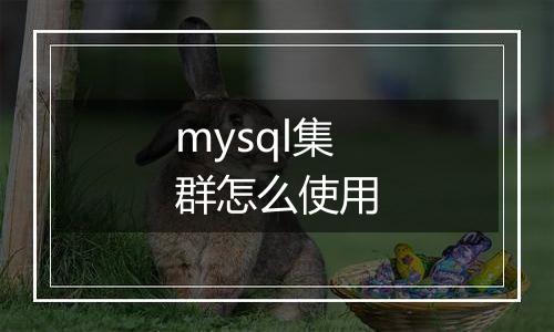mysql集群怎么使用