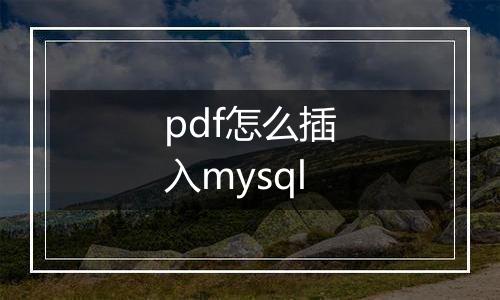 pdf怎么插入mysql