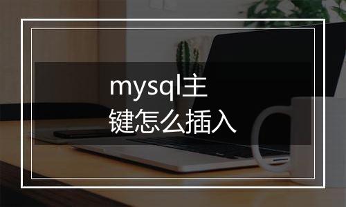 mysql主键怎么插入