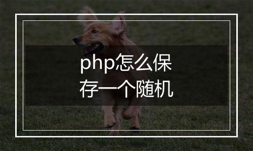 php怎么保存一个随机