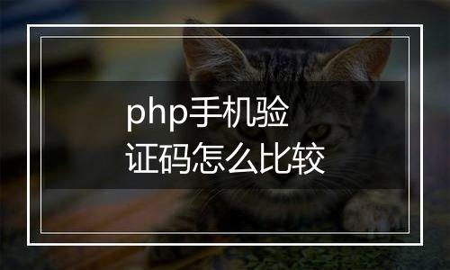 php手机验证码怎么比较
