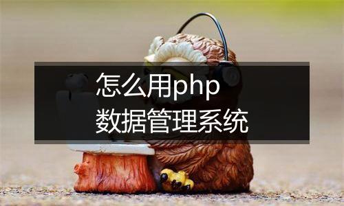 怎么用php数据管理系统