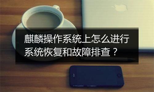 麒麟操作系统上怎么进行系统恢复和故障排查？