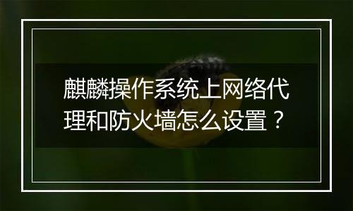 麒麟操作系统上网络代理和防火墙怎么设置？