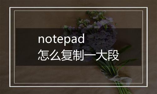 notepad怎么复制一大段