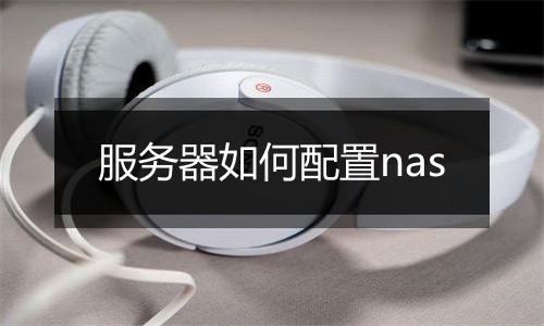 服务器如何配置nas