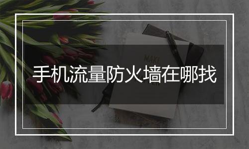 手机流量防火墙在哪找