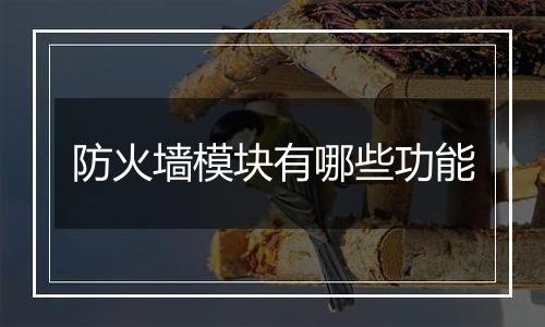 防火墙模块有哪些功能