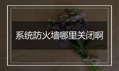 系统防火墙哪里关闭啊