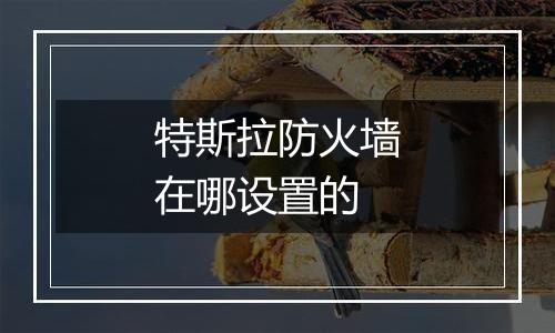 特斯拉防火墙在哪设置的