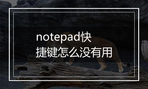 notepad快捷键怎么没有用