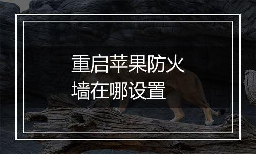 重启苹果防火墙在哪设置