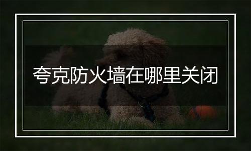 夸克防火墙在哪里关闭