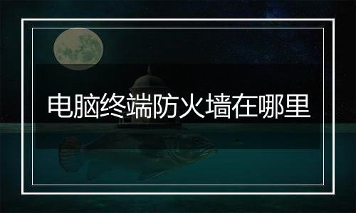 电脑终端防火墙在哪里