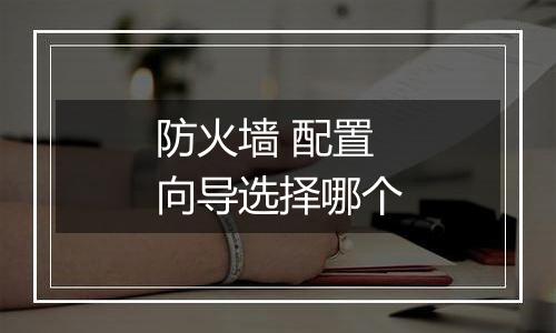 防火墙 配置向导选择哪个