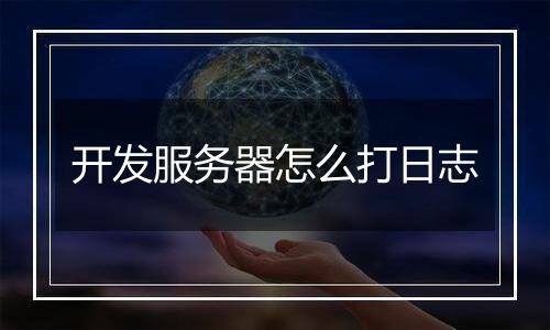 开发服务器怎么打日志