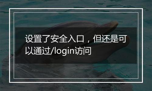 设置了安全入口,但还是可以通过/login访问