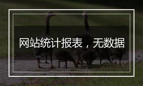 网站统计报表，无数据