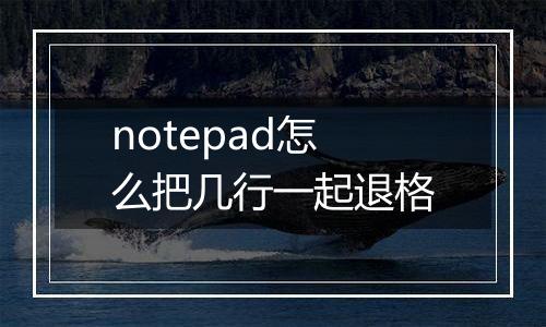 notepad怎么把几行一起退格