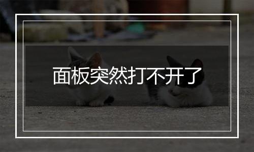 面板突然打不开了
