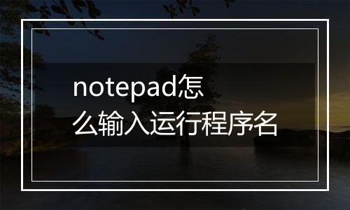 notepad怎么输入运行程序名