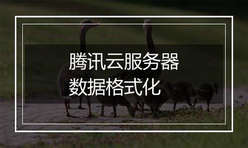 腾讯云服务器数据格式化