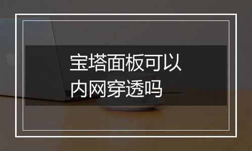 宝塔面板可以内网穿透吗