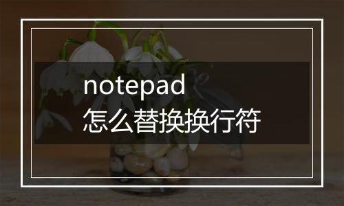 notepad怎么替换换行符