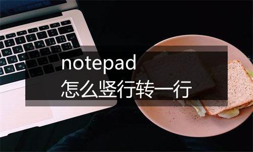 notepad怎么竖行转一行