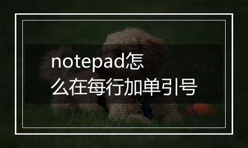 notepad怎么在每行加单引号