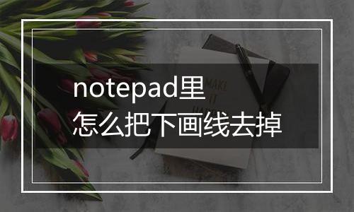 notepad里怎么把下画线去掉