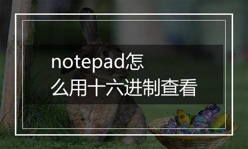 notepad怎么用十六进制查看