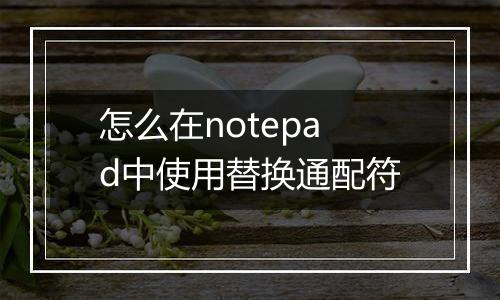 怎么在notepad中使用替换通配符