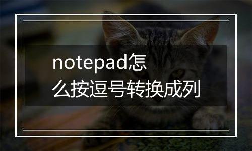 notepad怎么按逗号转换成列