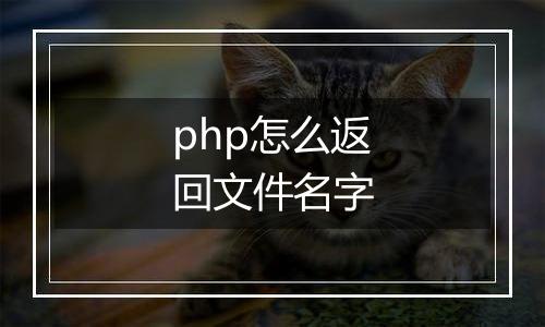 php怎么返回文件名字