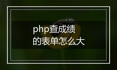 php查成绩的表单怎么大