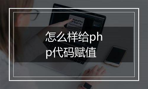 怎么样给php代码赋值
